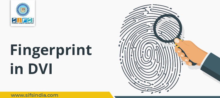 Fingerprint in DVI
