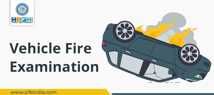 Vehicle Fire Examination