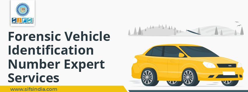 Forensic Vehicle Identification Number Expert Services