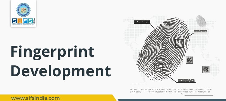 Fingerprint Development