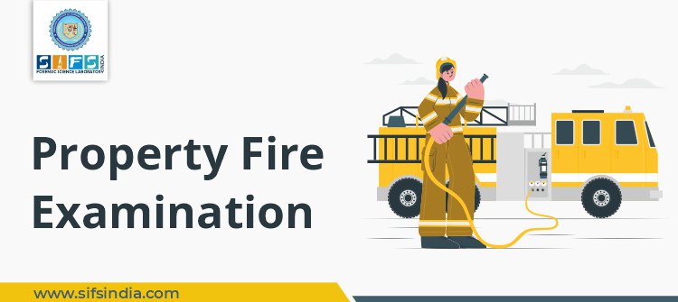 Property Fire Examination