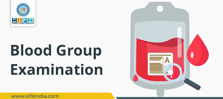 Blood Group Examination